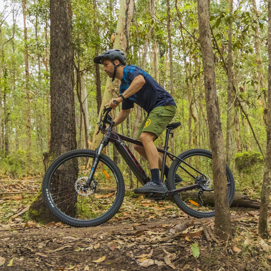Pedal Lynx