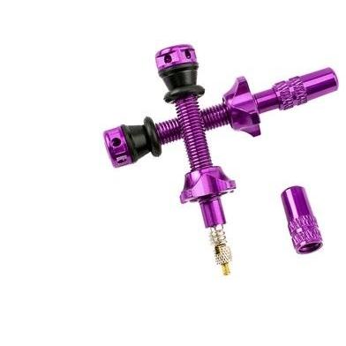 Ryfe Tubeless Presta Valves - High Flow - Purple 44mm - Pair