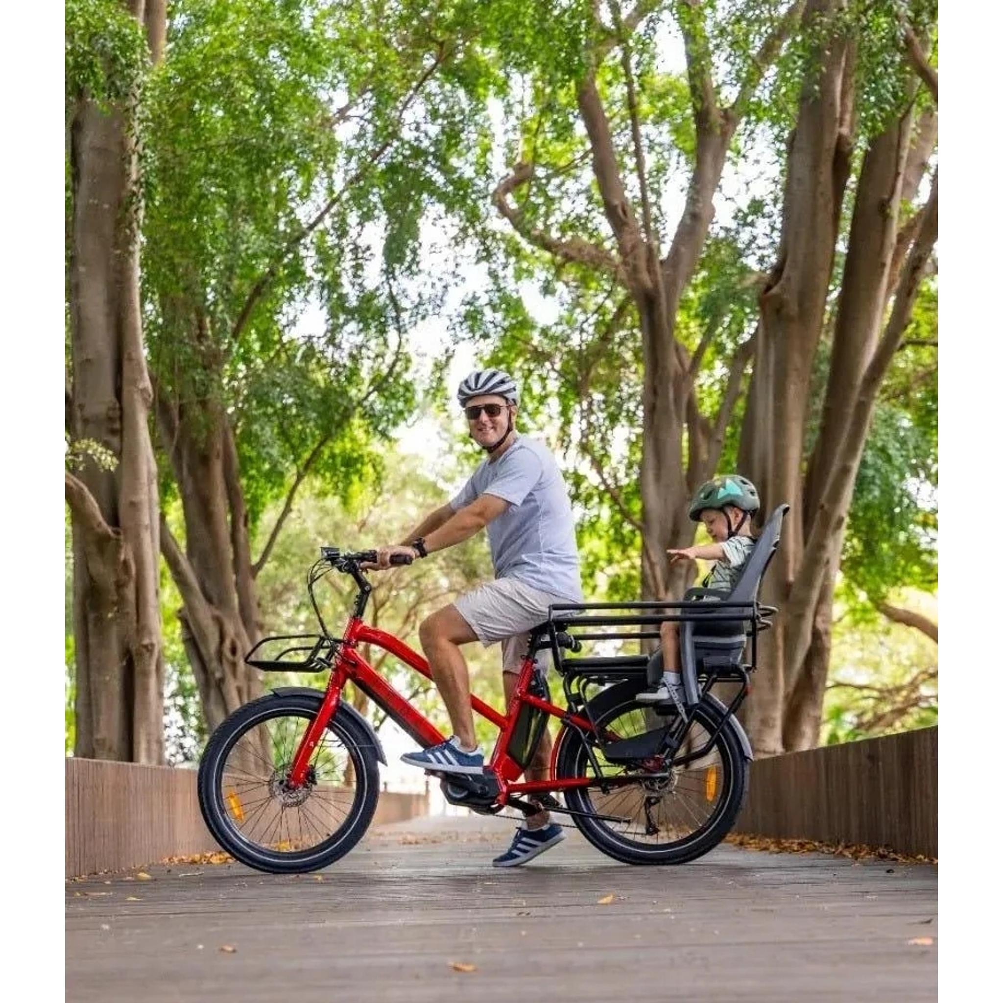 Pedal Rear Side Bars (Packer/Nomad Cargo EM7)