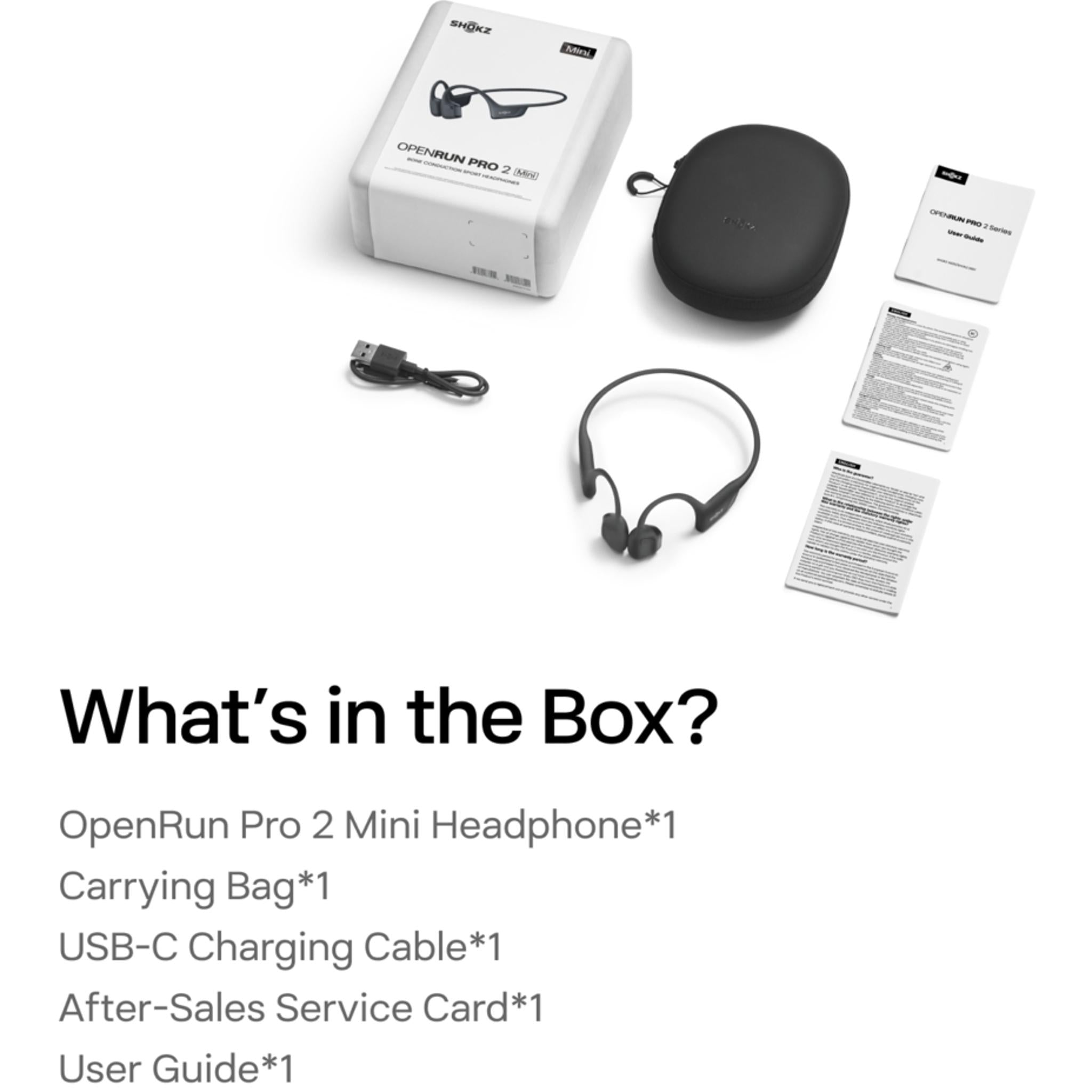 Shokz OpenRun Pro 2 Mini Open-Ear Wireless Sports Headphones Silver