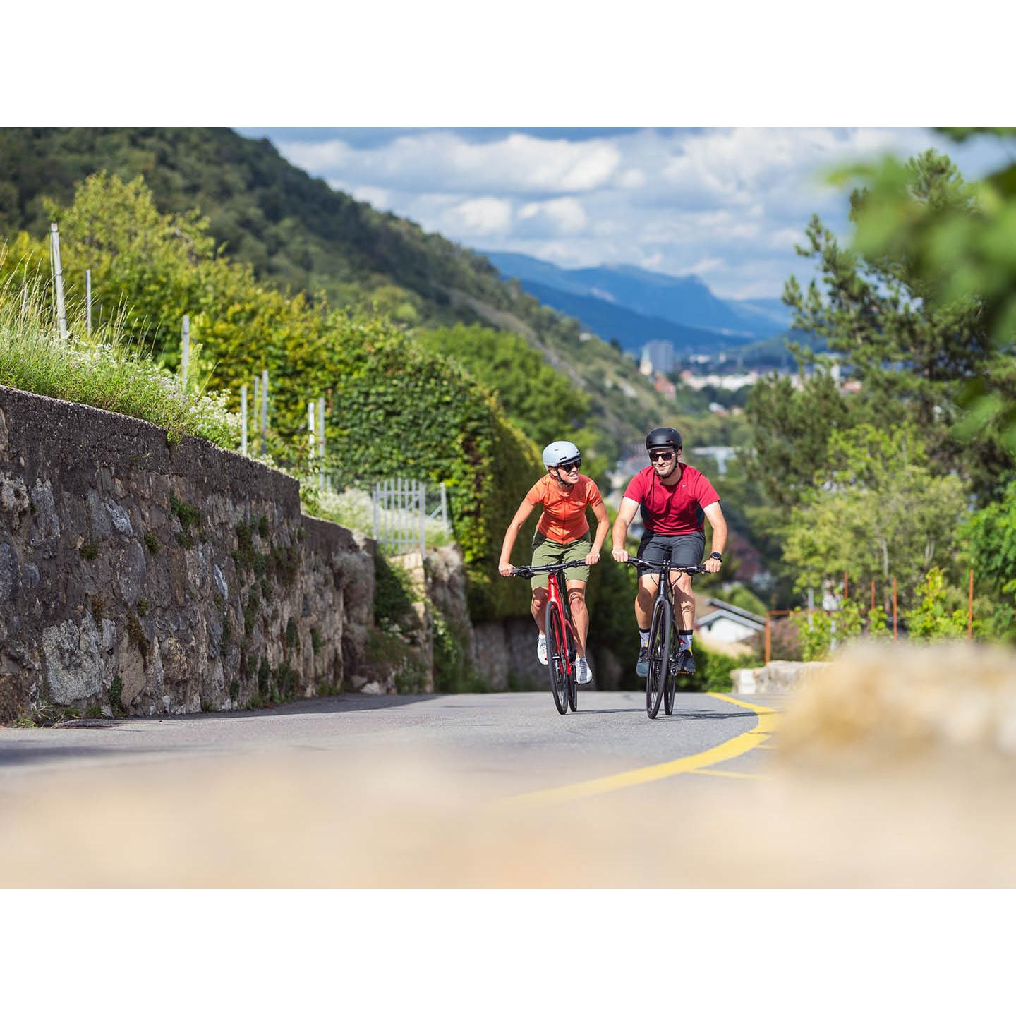 BMC Alpenchallenge AL Four Flatbar Road Bike Red