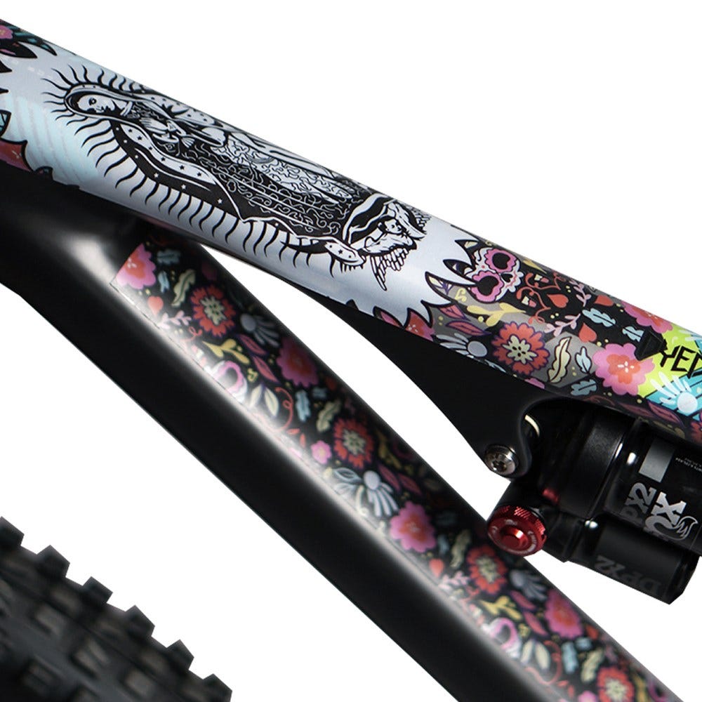 DYEDbro Frame Protector Kit Guadalupe