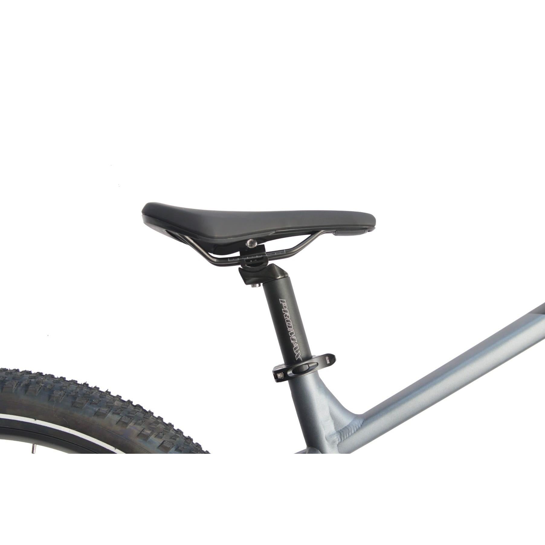 Rever Sport 29in Hardtail E-Mountain Bike Silver