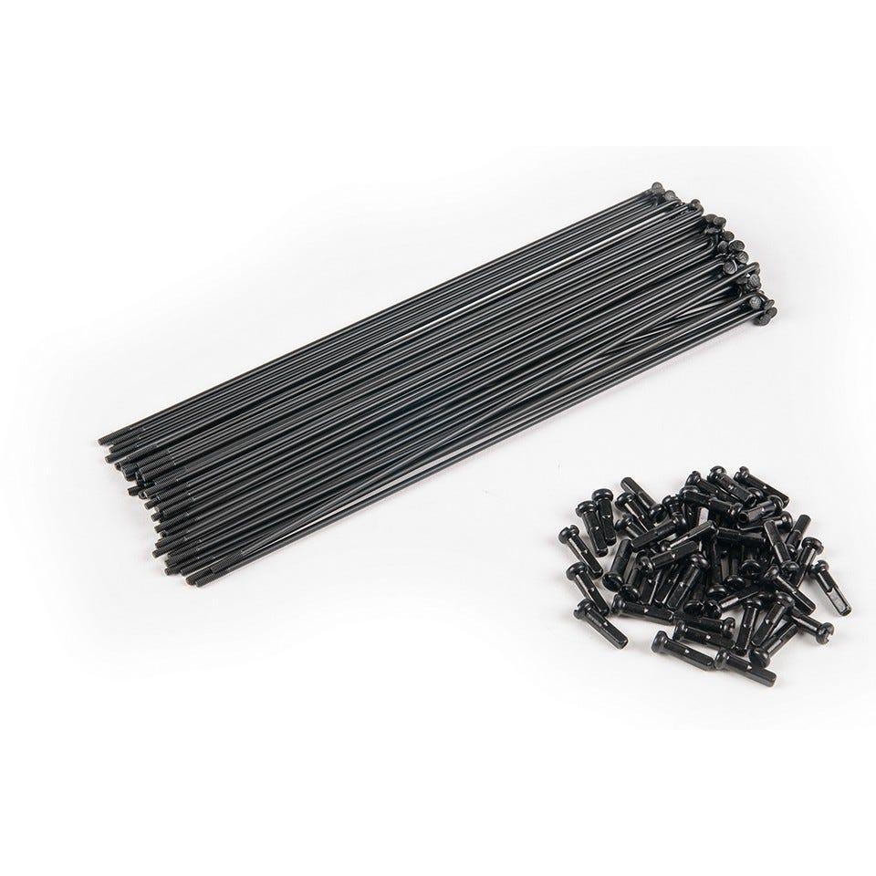 Eclat BMX Spokes 184mm 14G Black