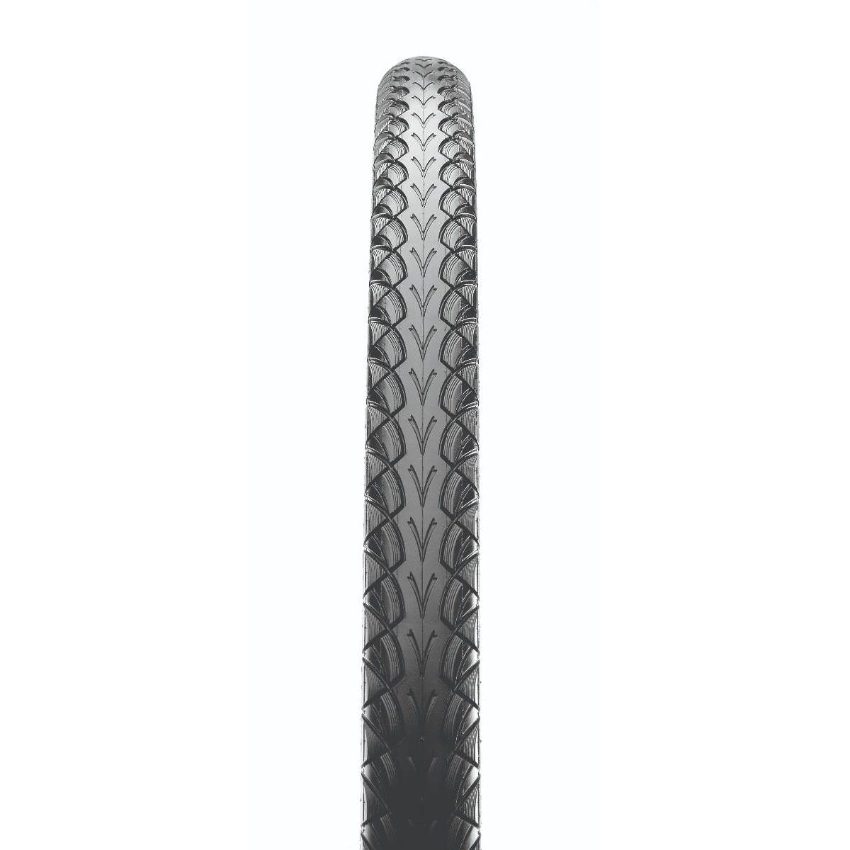Maxxis Gypsy eBike Wire Bead Tyre 700 x 38c