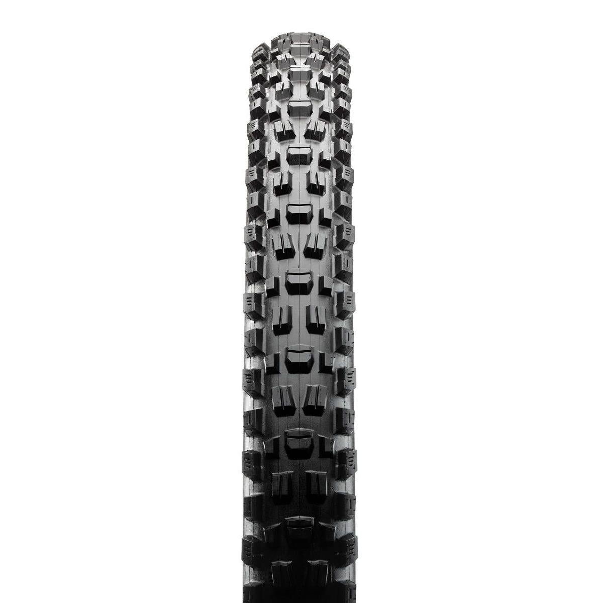 Maxxis Assegai Folding MTB Tyre 3C TR