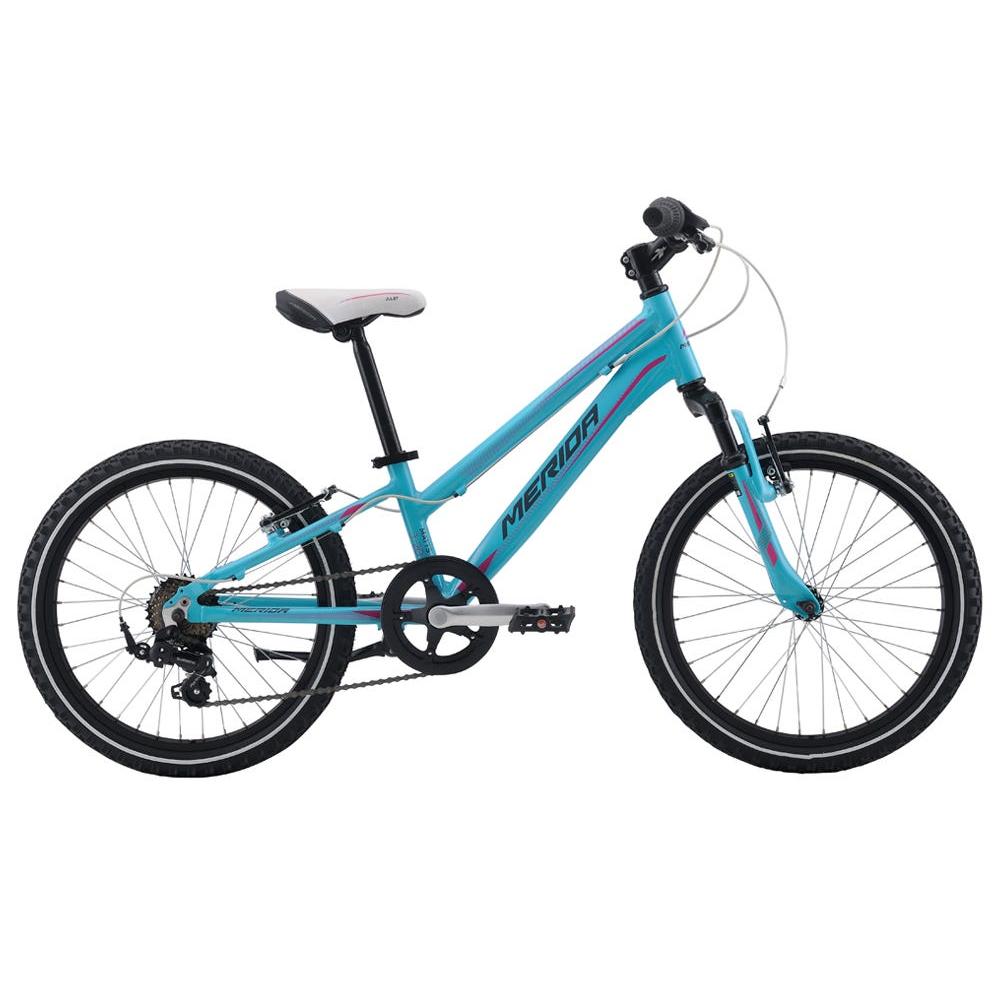 Merida Matts J20 Kids Matt Blue (2016)
