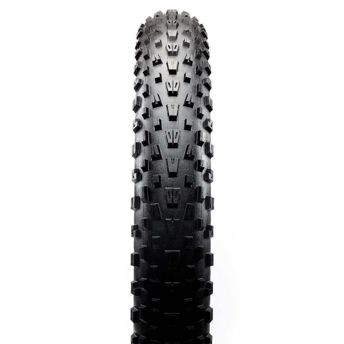 Maxxis Minion FBF Folding Fat Bike Tyre EXO TR