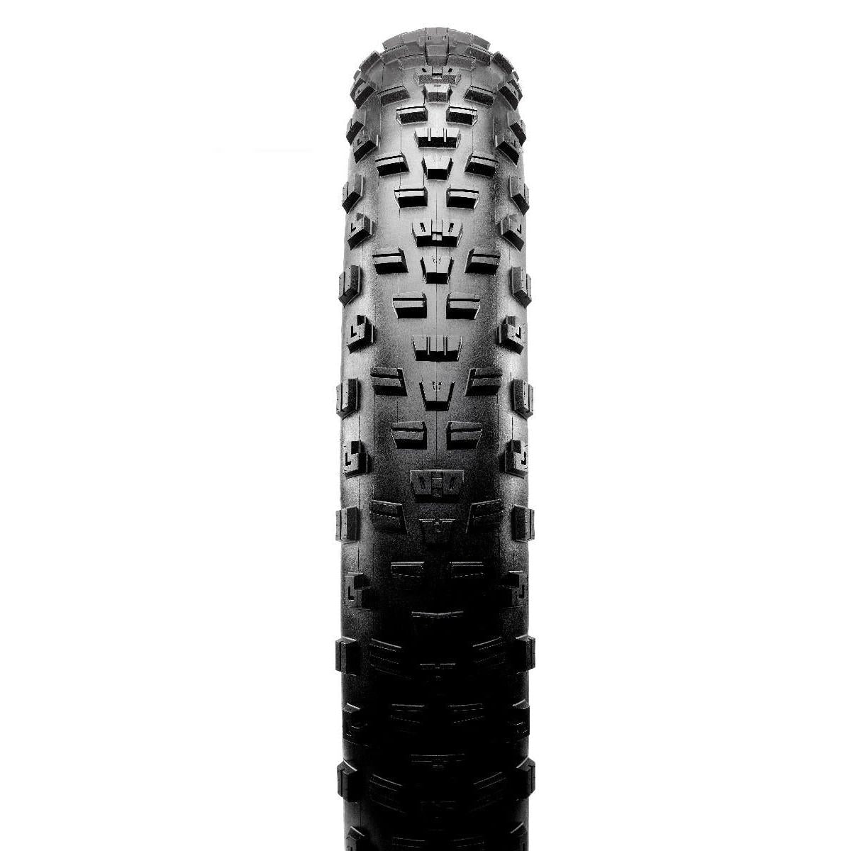Maxxis Minion FBR Folding Fat Bike Tyre EXO TR
